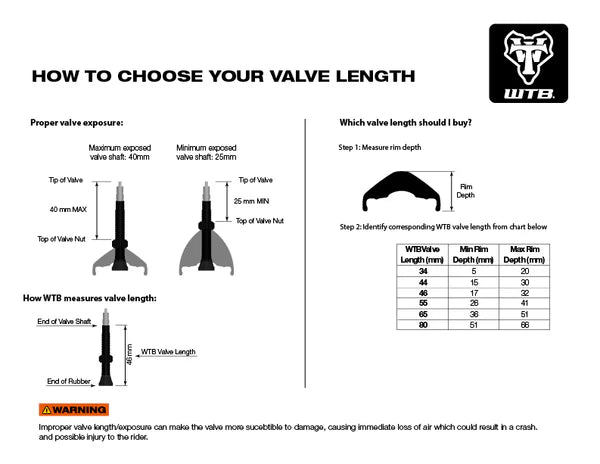 Valvula para tubeless WTB Tubeless Max Flow
