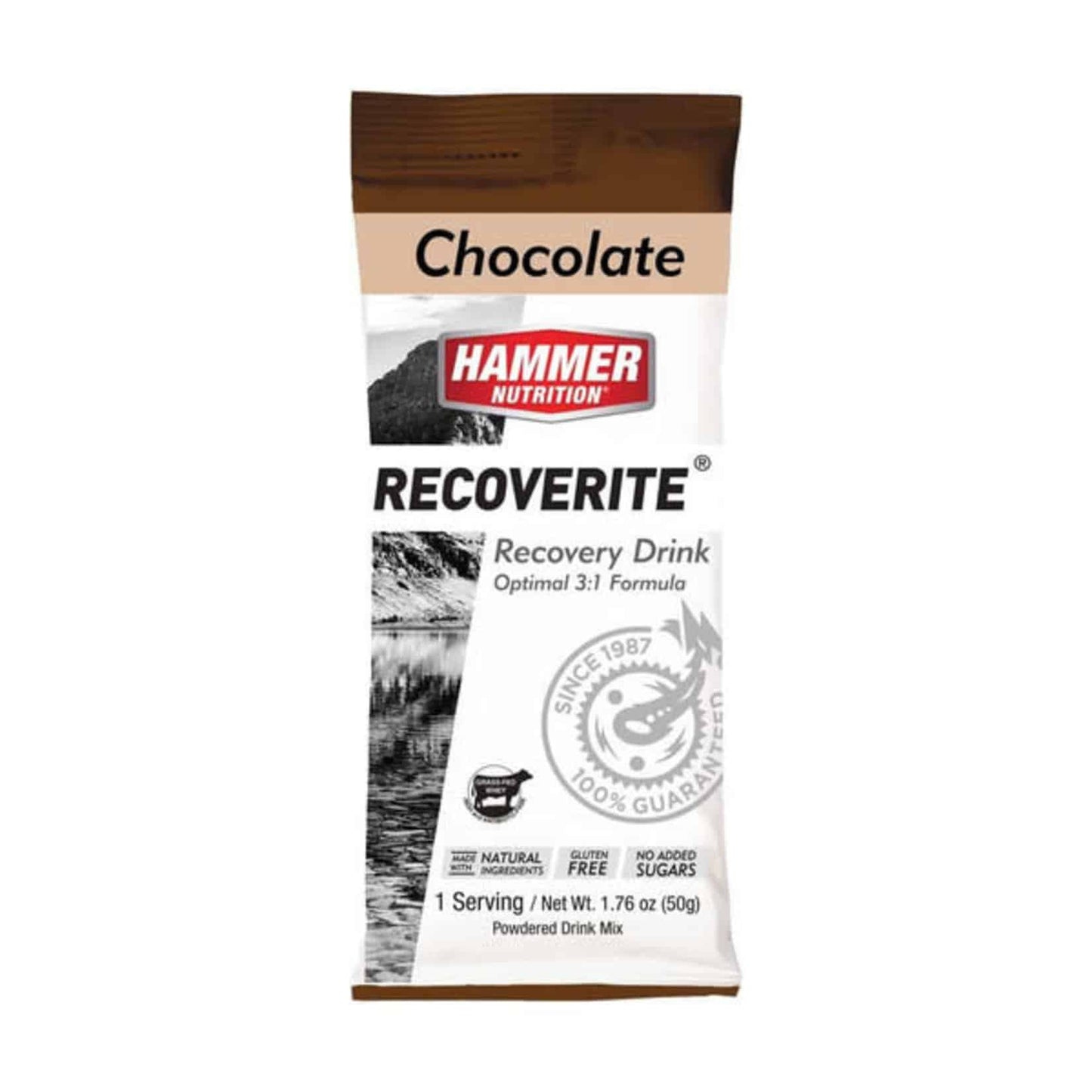 Hammer Recoverite