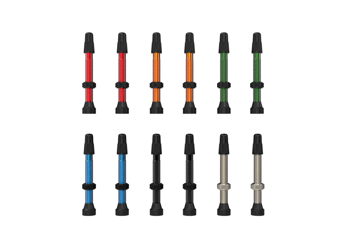 Valvula para tubeless WTB TCS Presta