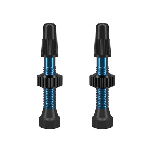 Valvula para tubeless WTB TCS Presta