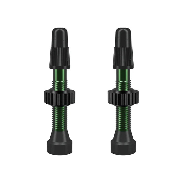 Valvula para tubeless WTB TCS Presta