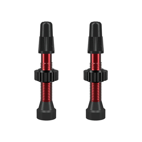 Valvula para tubeless WTB TCS Presta