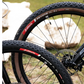 Caucho Vittoria Peyote II XC Race TLR 29