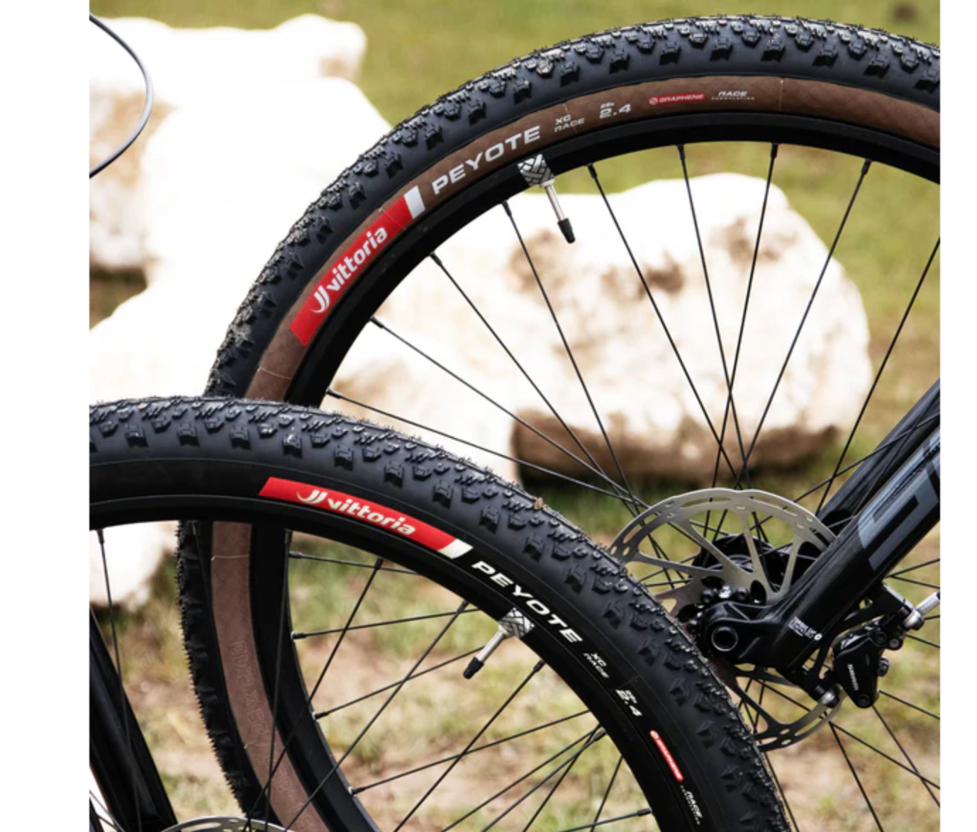 Caucho Vittoria Peyote II XC Race TLR 29