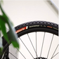 Caucho Vittoria Terreno XC Trail TLR 29